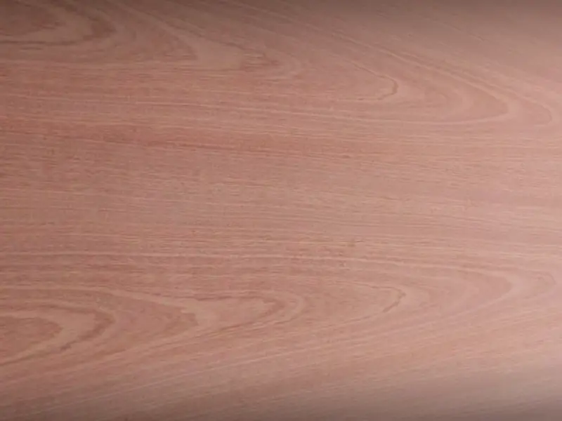 Ván phủ Veneer